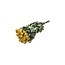 Gele gedroogde Trosrozen | Spray Rose droogbloemen | Lengte ± 50 centimeter | Per 10 rozen