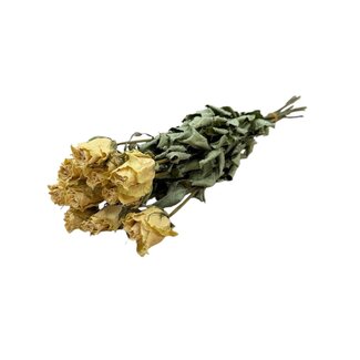 DriedRoses.com Witte gedroogde Rozen | Lengte ± 50 centimeter | Per 10 rozen