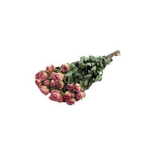 DriedRoses.com Pink dried Spray Roses | Spray Rose dried flowers | Length ± 50 centimetres | Per 10 roses