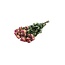 Roze gedroogde Trosrozen | Spray Rose droogbloemen | Lengte ± 50 centimeter | Per 10 rozen