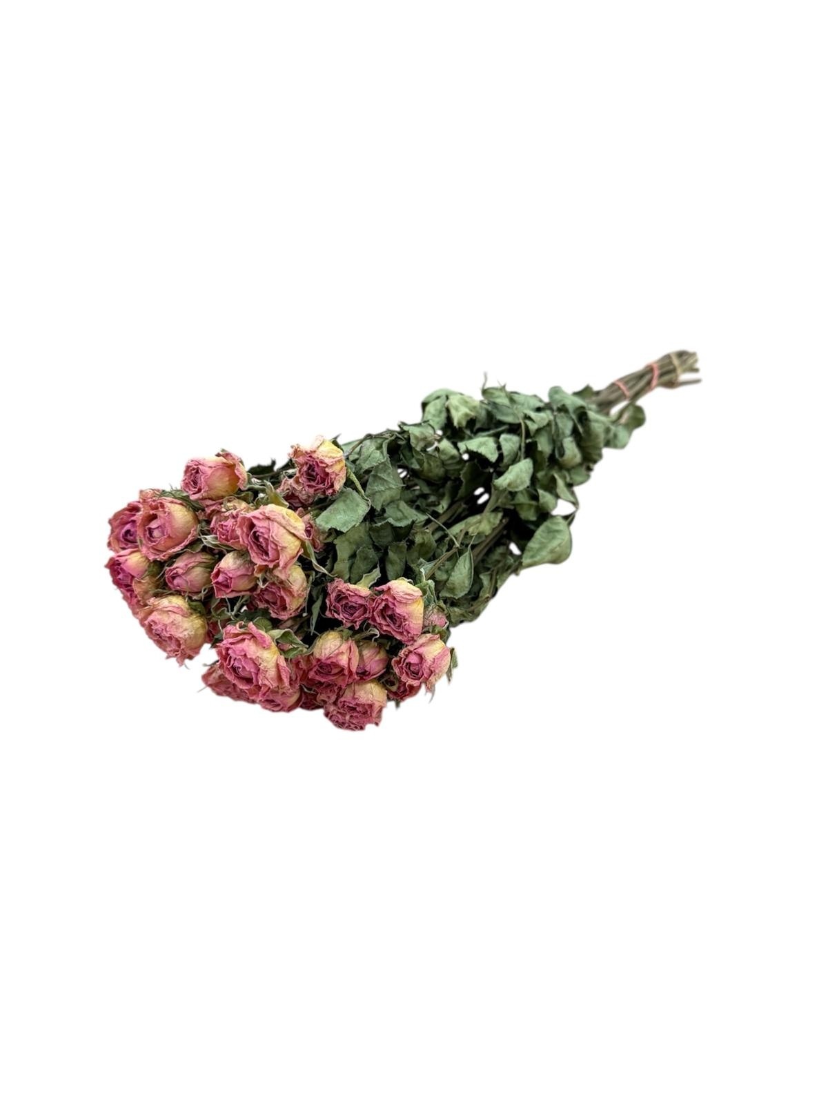 Rosa getrocknete Sprayrosen - Elegant und pflegeleicht Der Online-Shop fuer Kreative