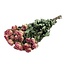 Roze gedroogde Trosrozen | Spray Rose droogbloemen | Lengte ± 50 centimeter | Per 10 rozen