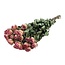 Roze gedroogde Trosrozen | Spray Rose droogbloemen | Lengte ± 50 centimeter | Per 10 rozen