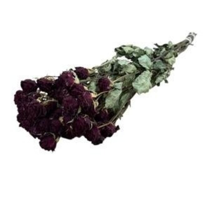 Rode gedroogde Trosrozen | Spray Rose droogbloemen | Lengte ± 50 centimeter | Per 10 rozen