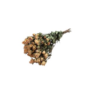 DriedRoses.com Light pink dried Spray Roses | Spray Rose dried flowers | Length ± 50 centimetres | Per 10 roses