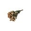 Lichtroze gedroogde Trosrozen | Spray Rose droogbloemen | Lengte ± 50 centimeter | Per 10 rozen