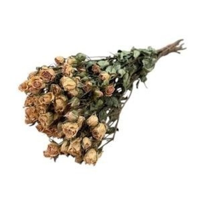 Lichtroze gedroogde Trosrozen | Spray Rose droogbloemen | Lengte ± 50 centimeter | Per 10 rozen