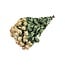 Peach Fuzz dried Cluster Roses | Spray Rose dried flowers | Length ± 50 centimetres | Per 10 roses