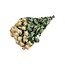 Peach Fuzz gedroogde Trosrozen | Spray Rose droogbloemen | Lengte ± 50 centimeter | Per 10 rozen