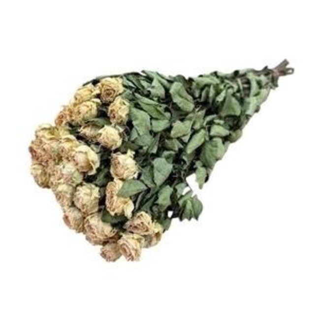 Peach Fuzz gedroogde Trosrozen | Spray Rose droogbloemen | Lengte ± 50 centimeter | Per 10 rozen