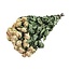 Peach Fuzz gedroogde Trosrozen | Spray Rose droogbloemen | Lengte ± 50 centimeter | Per 10 rozen