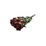 Roses en grappe séchées jaune-rouge | Spray Rose fleurs séchées | Longueur ± 50 centimètres | Par 10 roses