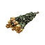 Yellow dried Roses | Length ± 50 centimetres | Per 10 roses