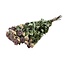 Lavendel-grijze gedroogde Trosrozen | Spray Rose droogbloemen | Lengte ± 50 centimeter | Per 10 rozen