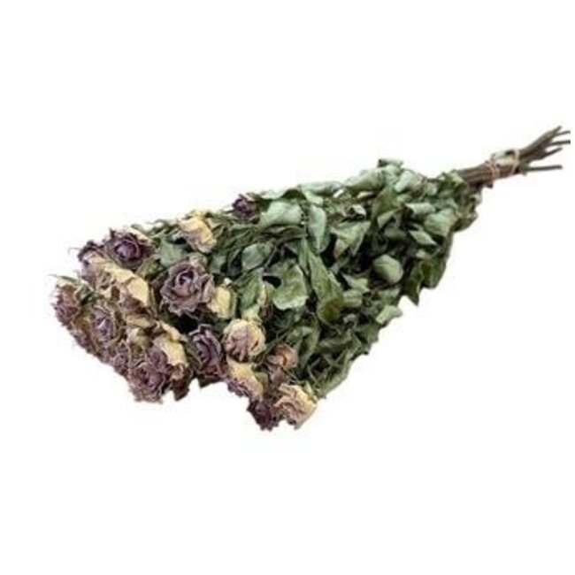 Lavender-grey dried Spray Roses | Spray Rose dried flowers | Length ± 50 centimetres | Per 10 roses