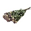 Lavendel-grijze gedroogde Trosrozen | Spray Rose droogbloemen | Lengte ± 50 centimeter | Per 10 rozen
