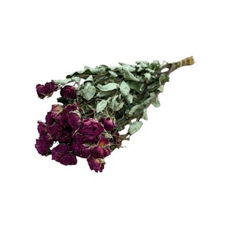 DriedRoses.com Fuchsia getrocknete Sprayrosen | Spray Rose Trockenblumen | Länge ± 50 Zentimeter | Pro 10 Rosen