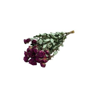 DriedRoses.com Fuchsia gedroogde Trosrozen | Spray Rose droogbloemen | Lengte ± 50 centimeter | Per 10 rozen