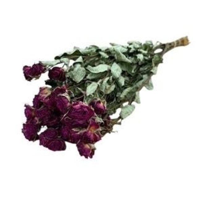 Fuchsia dried spray roses | Spray rose dried flowers | Length ± 50 centimetres | Per 10 roses