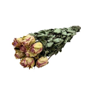 DriedRoses.com White-pink dried Roses | Length ± 50 centimetres | Per 10 roses