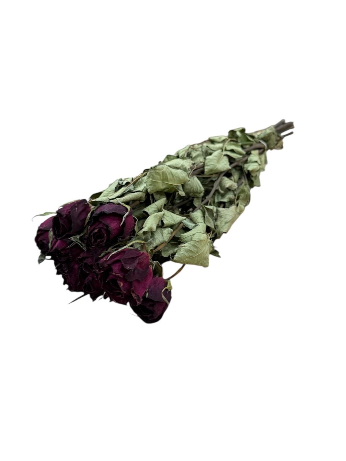 Rote getrocknete Rosen - 10er-Set für elegante Innenräume Der Online-Shop fuer Kreative