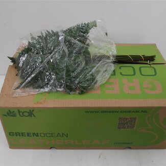 Freshy Ledervaren Middel x30 (p. bos)