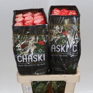 Freshy Grootbloemige Roos “Caberet” | Kleur: Wit | Lengte ± 60 centimeter | Herkomst Ecuador | Per 25 verse bloemen