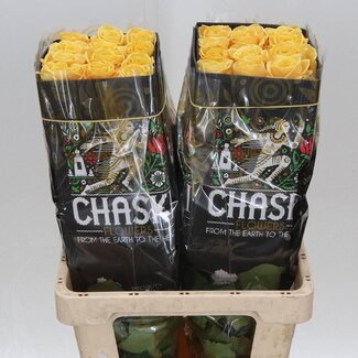 Freshy Grootbloemige Roos “Bumblebee” | Kleur: Geel | Lengte ± 60 centimeter | Herkomst Ecuador | Per 25 verse bloemen