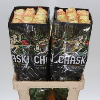 Freshy R Eq Karma-bb