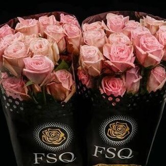 Freshy Rose à grandes fleurs “Gar Pink Ohara” | Couleur: Rose | Longueur ± 50 centimeter | Origine Ecuador | Par 20 fleurs fraîches