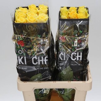 Freshy Grootbloemige Roos “Lady Isabella” | Kleur: Rood | Lengte ± 60 centimeter | Herkomst Ecuador | Per 25 verse bloemen