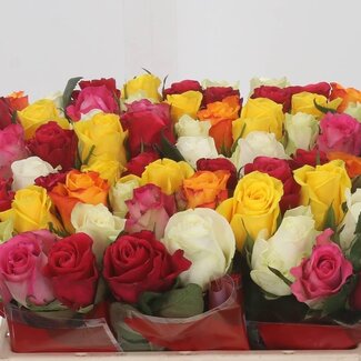 Freshy Rosa Gemengd in Bos