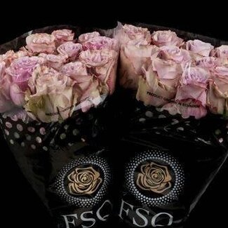 Freshy Grootbloemige Roos “Friends” | Kleur: Roze | Lengte ± 50 centimeter | Herkomst Ecuador | Per 20 verse bloemen