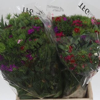 Freshy Duizendschoon Gemengd Stuk