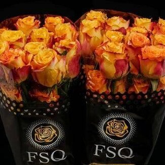 Freshy Grootbloemige Roos “Silantoi” | Kleur: Oranje | Lengte ± 40 centimeter | Herkomst Ecuador | Per 20 verse bloemen