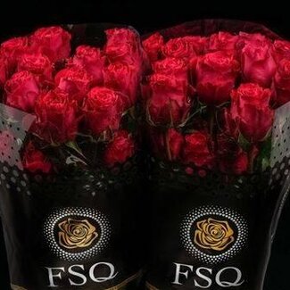 Freshy Großblütige Rose “Brave” | Farbe: Rot | Herkunft Ecuador | Länge ± 50 centimeter | Pro 20 frische Blumen