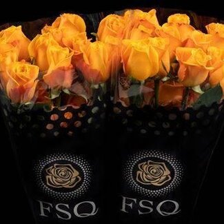 Freshy Grootbloemige Roos “Aloha” | Kleur: Geel | Herkomst Ecuador | Lengte ± 60 centimeter | Per 20 verse bloemen