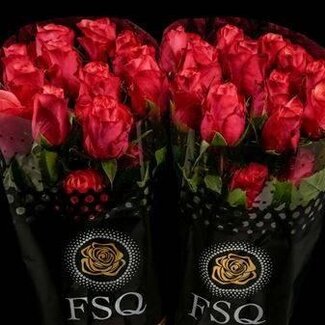 Freshy Grootbloemige Roos “Bogart” | Kleur: Rood | Herkomst Ecuador | Lengte ± 40 centimeter | Per 20 verse bloemen