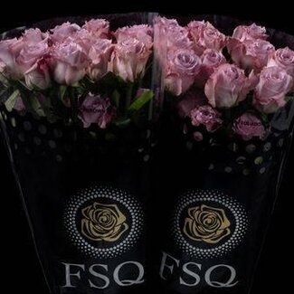 Freshy Grootbloemige Roos “Cooldown” | Kleur: Roze | Herkomst Ecuador | Lengte ± 60 centimeter | Per 20 verse bloemen