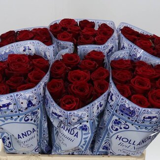 Freshy Grootbloemige Roos “Red Naomi Magna” | Kleur: Rood | Lengte ± 60 centimeter | Per 10 verse bloemen