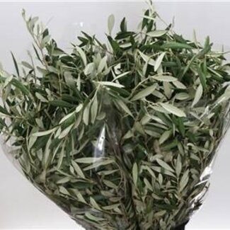 Freshy Olijf 400gr (p. bos)