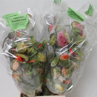 Freshy Slaappapaver Papaver Mix XXL | Kleur: Gemengde Kleuren | Lengte ± 60 centimeter | Per 25 verse bloemen