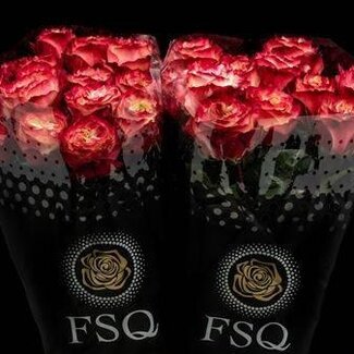 Freshy Rose grandiflore “Apple Jack” | Couleur: Rouge | Origine Équateur | Longueur ± 50 centimètres | Par 20 fleurs fraîches