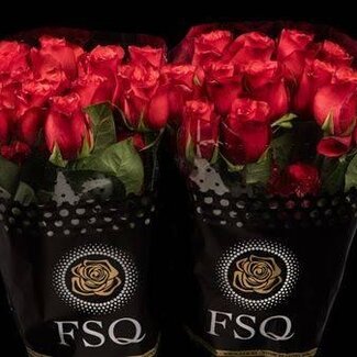 Freshy Grootbloemige Roos “Bromo” | Kleur: Rood | Herkomst Ecuador | Lengte ± 50 centimeter | Per 20 verse bloemen