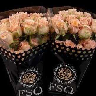 Freshy Grootbloemige Roos “Country Louise” | Kleur: Roze | Herkomst Ecuador | Lengte ± 50 centimeter | Per 20 verse bloemen