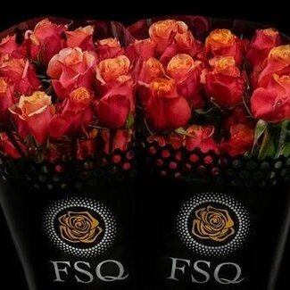 Freshy Rose grandiflore “Cherry Brandy” | Couleur: Jaune | Origine Équateur | Longueur ± 50 centimeter | Par 20 fleurs fraîches