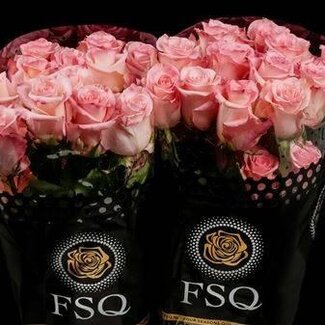 Freshy Rose grandiflore “Rhoslyn” | Couleur: Rose | Origine Équateur | Longueur ± 50 centimeter | Par 20 fleurs fraîches