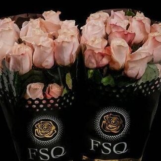 Freshy Grootbloemige Roos “Pomarosa” | Kleur: Roze | Herkomst Ecuador | Lengte ± 60 centimeter | Per 20 verse bloemen