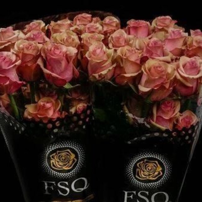 Grootbloemige Roos “Vintage” | Kleur: Oranje | Herkomst Ecuador | Lengte ± 50 centimeter | Per 20 verse bloemen