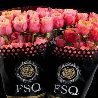 Freshy R Eq South Park